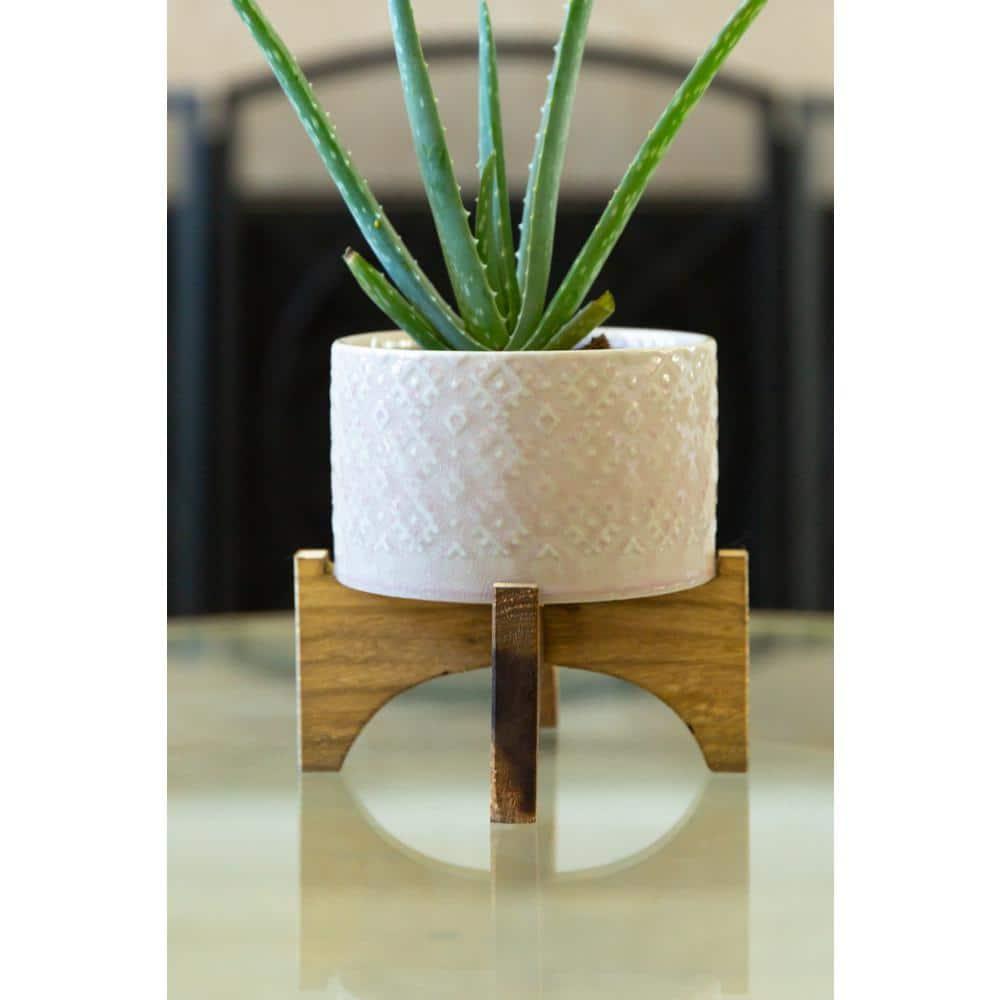 Flora Bunda Mid Century 5 inch India Ceramic Planter on Wood Stand,Glass Pink