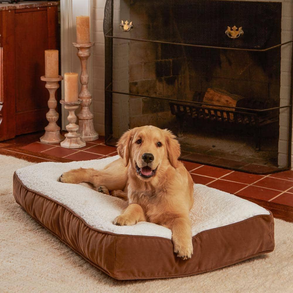 Happy Hounds Buster Sherpa Rectangle Pillow Style Dog Bed, Latte, Small (36 x 24 in.)