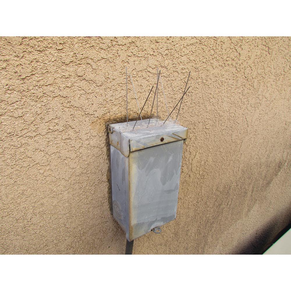 Bird-B-Gone Enviro Spike Stainless Steel Bird Spike, Deterrent Repellent, 10 ft. x 5 in.