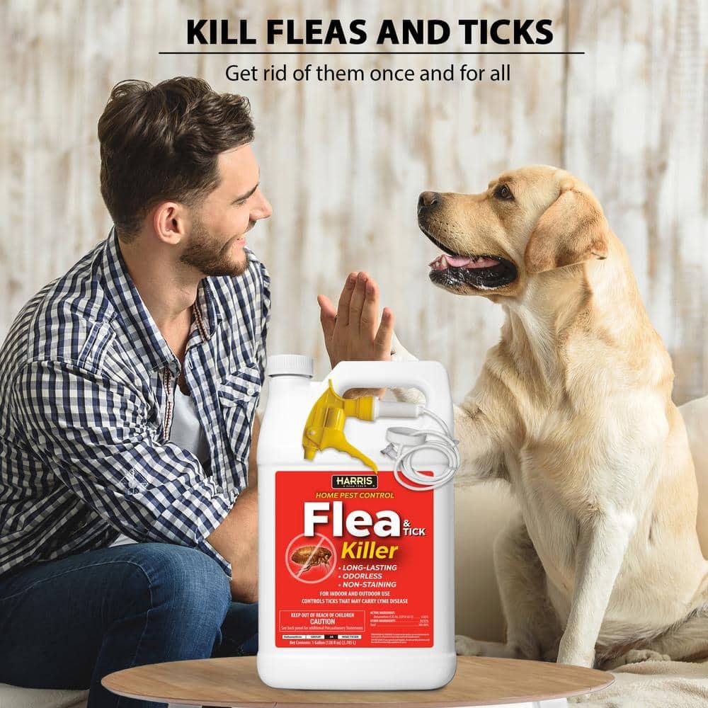 Harris Home Pest Control Flea & Tick Killer Liquid 1 gal
