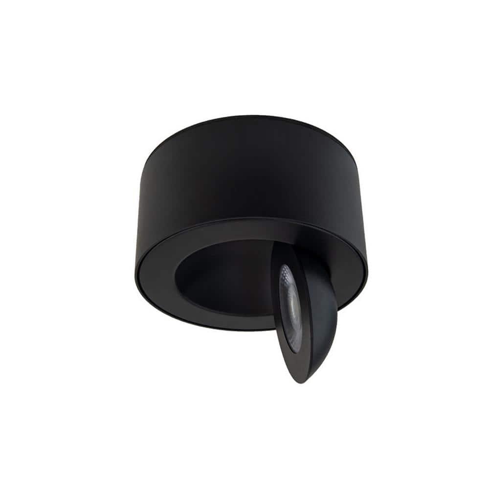 Peek LED Flush Mount