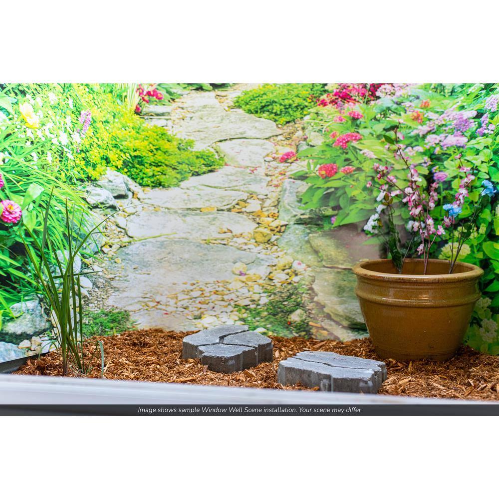 Biggies 120" Bonsai Photograph Window Well Scenes