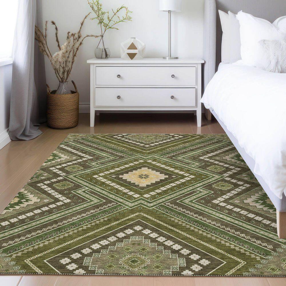 Machine Washable Indoor/Outdoor Chayden ACN1010 Rug