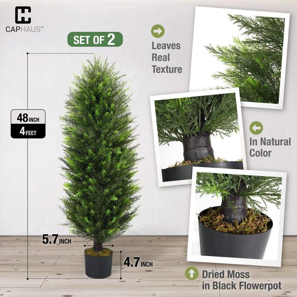 CAPHAUS CAPHAUS Artificial Cedar Tree Pair, UV Resistant Boxwood Topiary w/ Dried Moss, 3 / 4 / 5 Feet