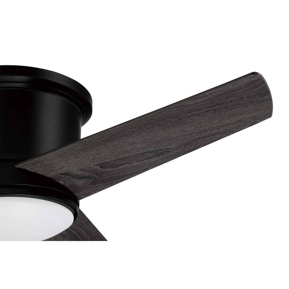 Cole 52" Flat Black Modern Ceiling Fan with LED Light and Remote