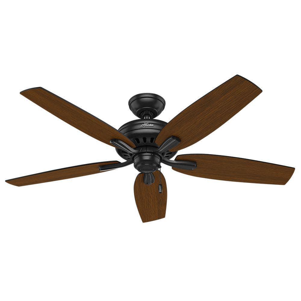 52" Newsome 5 - Blade Outdoor Standard Ceiling Fan with Pull Chain