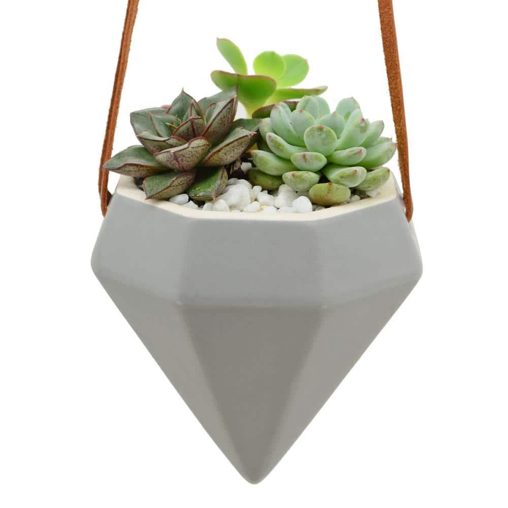 Guilford Ceramic Hanging Planter