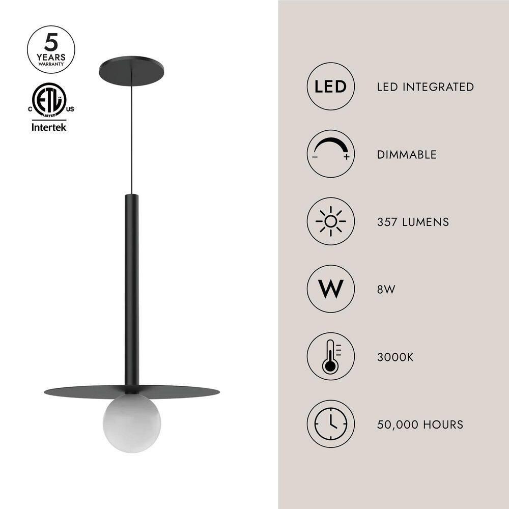 Black Glass LED Indoor/Outdoor Globe Pendant Light
