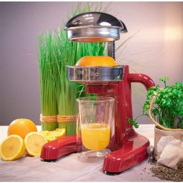 Frieling Positano Citrus Juicer | Wayfair