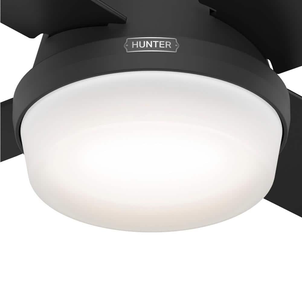 Dempsey Low Profile 44" 4 - Blade Indoor Flush Mount Small Room Ceiling Fan with Lights and Remote