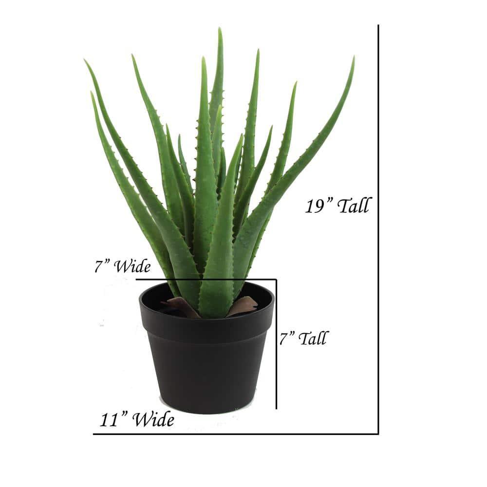 The Mod Greenhouse 19" Artificial Green Aloe Vera Plant in a Matte Black Grower's Pot