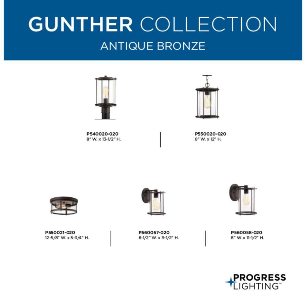 Progress Lighting - Two Light Flush Mount - Outdoor - Gunther - Outdoor Light -