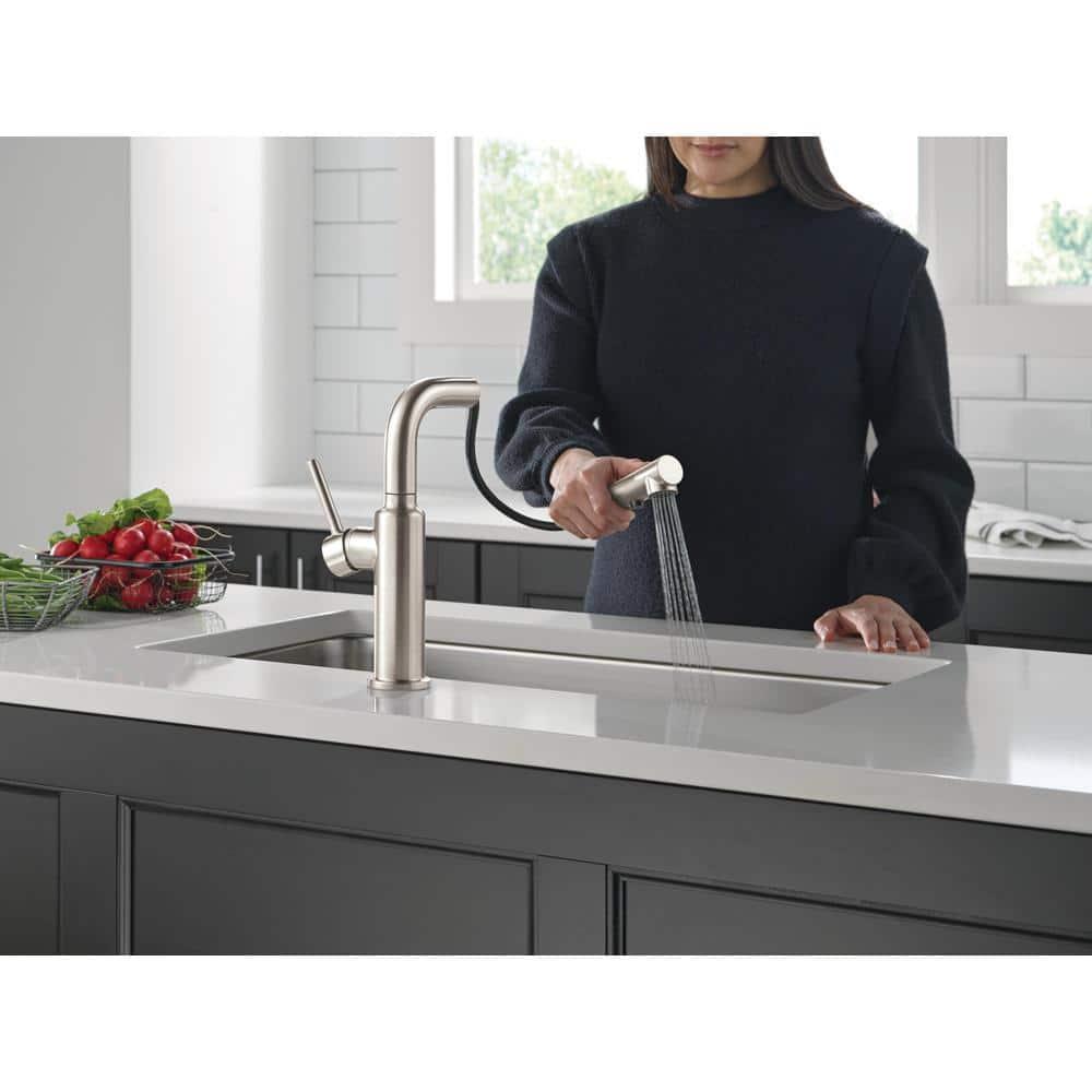 Daneri Pull-Out Sprayer Kitchen Faucet, Single Handle Kitchen Sink Faucet