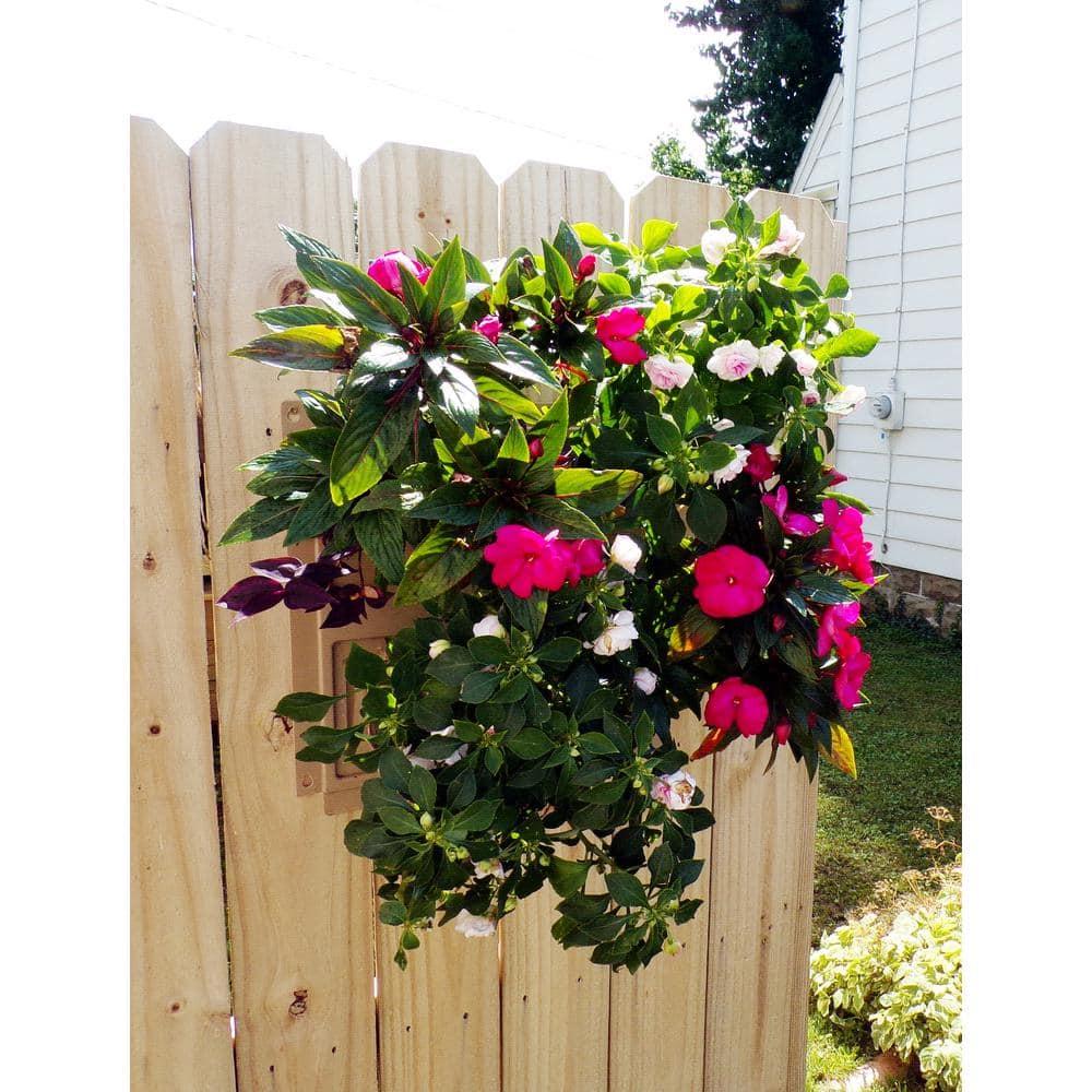 Bloomers Wall Flowers Vertical Gardening System – Create Gardens on Walls – Holds up to 4 Potted Plants – Black