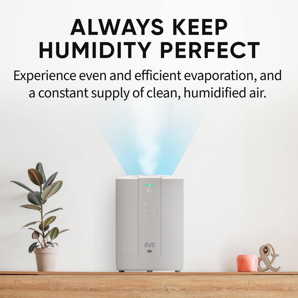 Evo Evo Warm Mist Evaporative Tabletop Humidifier with Adjustable Humidistat for 500 Cubic Feet