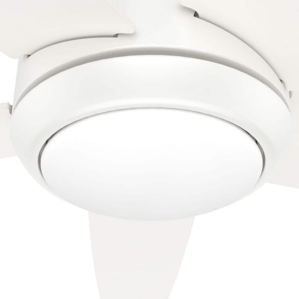 52" Zayden 5 - Blade Ceiling Fan With Lights and Remote