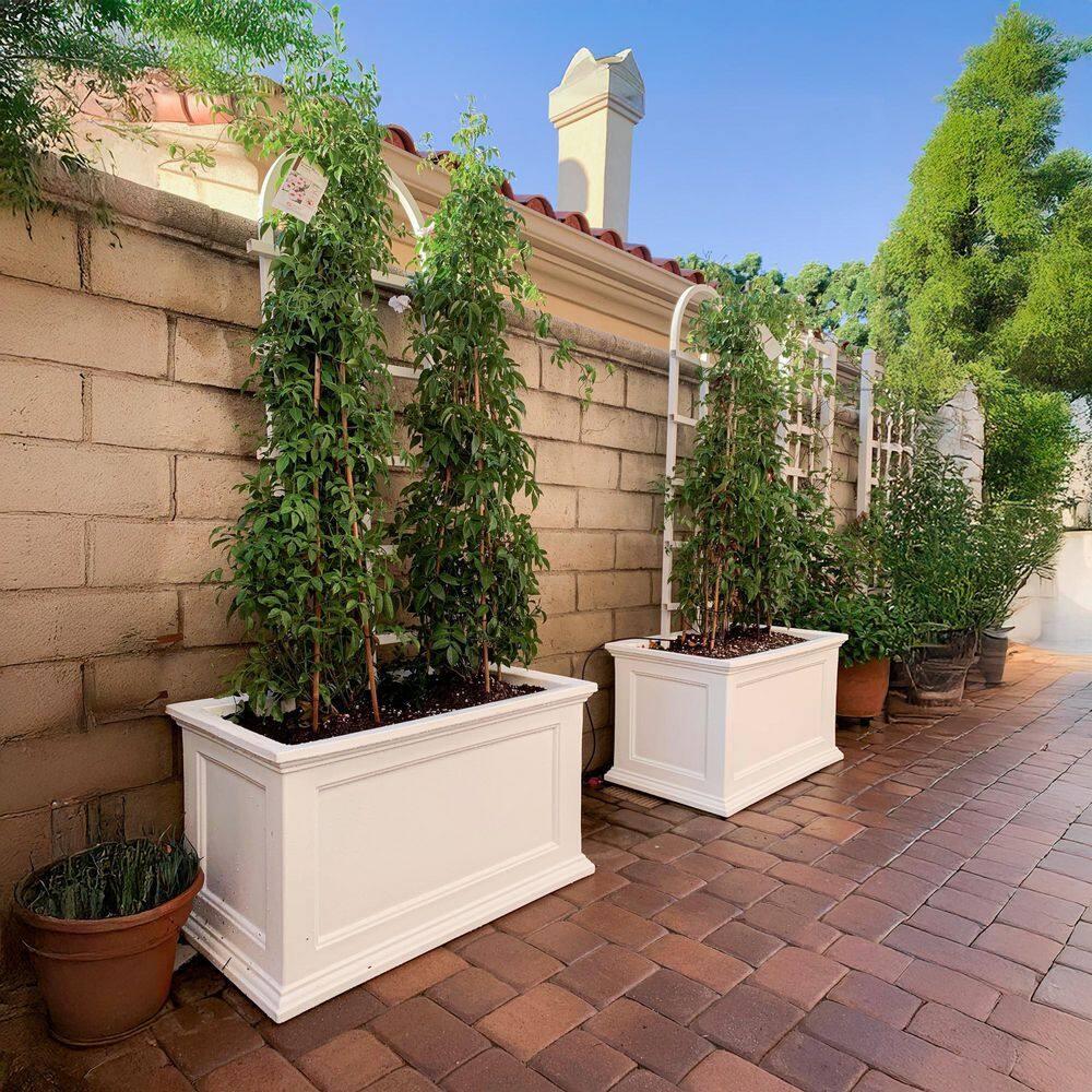 Winston Porter Anastasiya 20"x36" Resin Planter with Water Reservoir