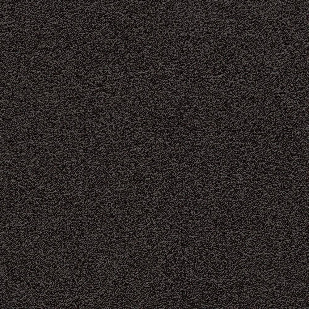 Lexicon Dawson Double Reclining Sofa in Brown