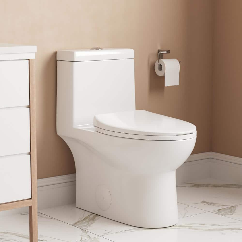 Ally Dual-Flush Elongated One-Piece Toilet with Glazed Surface Modern Toilet with Comfort Seat Height(Seat Included)