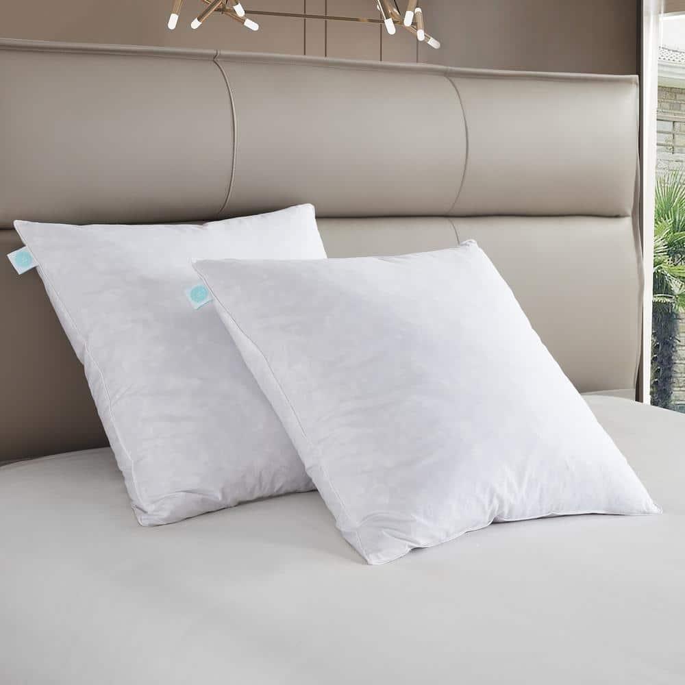 Blue Ridge Martha Stewart 233 Thread Count Cotton Square Feather Pillow - White