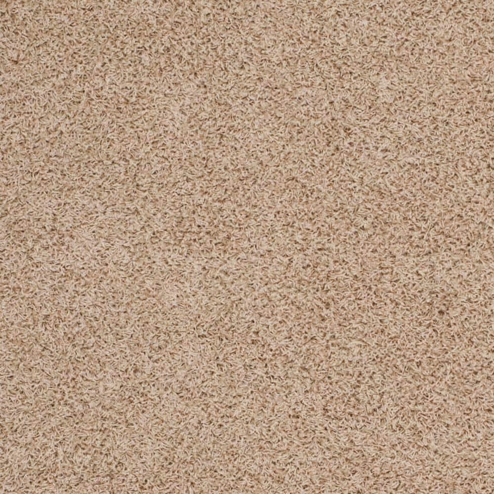 Gracie Oaks Atwell Sga-Athens Shag Performance Solid Color Rug