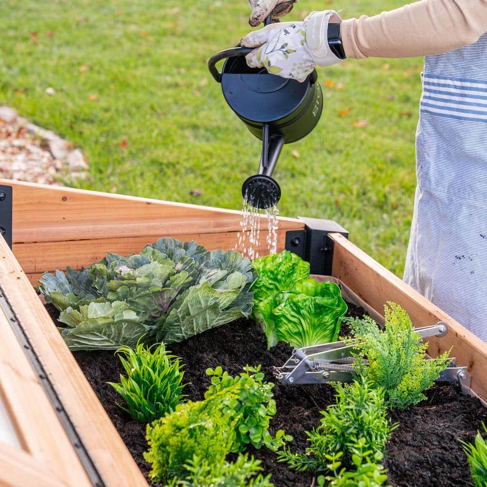 Backyard Discovery Aggie 4x2' Cedar Wood Cold Frame Mini Greenhouse, Polycarbonate Lid