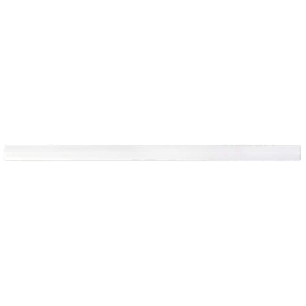 Bond Tile 0.6'' L x 12'' W Ceramic Bullnose Tile Trim