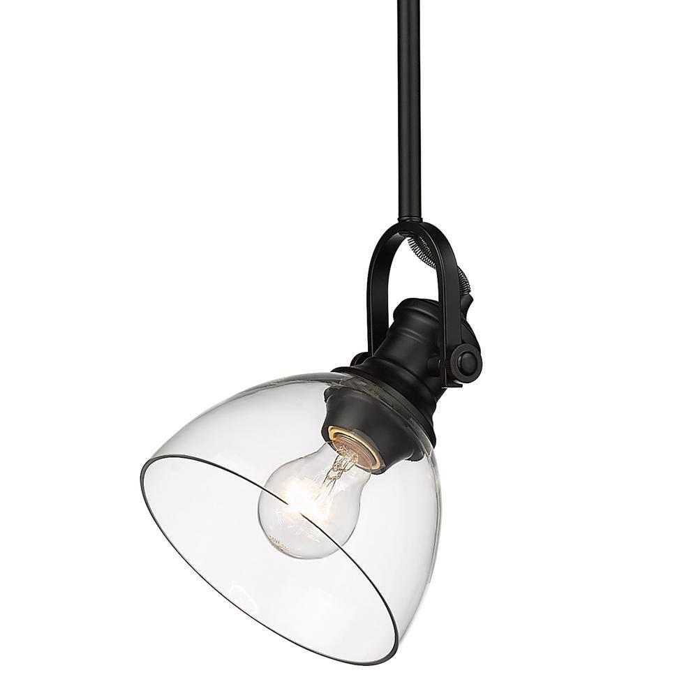 Golden Lighting Hines 1-Light Mini Pendant in Matte Black with Clear Glass