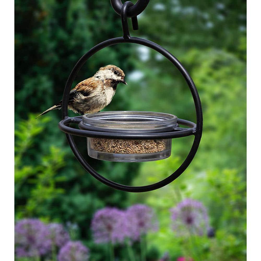 Monarch Abode Hanging Zazu Bird Feeder with Clear Glass Bowl, Perch, Outdoor Decor for Garden Backyard Patio