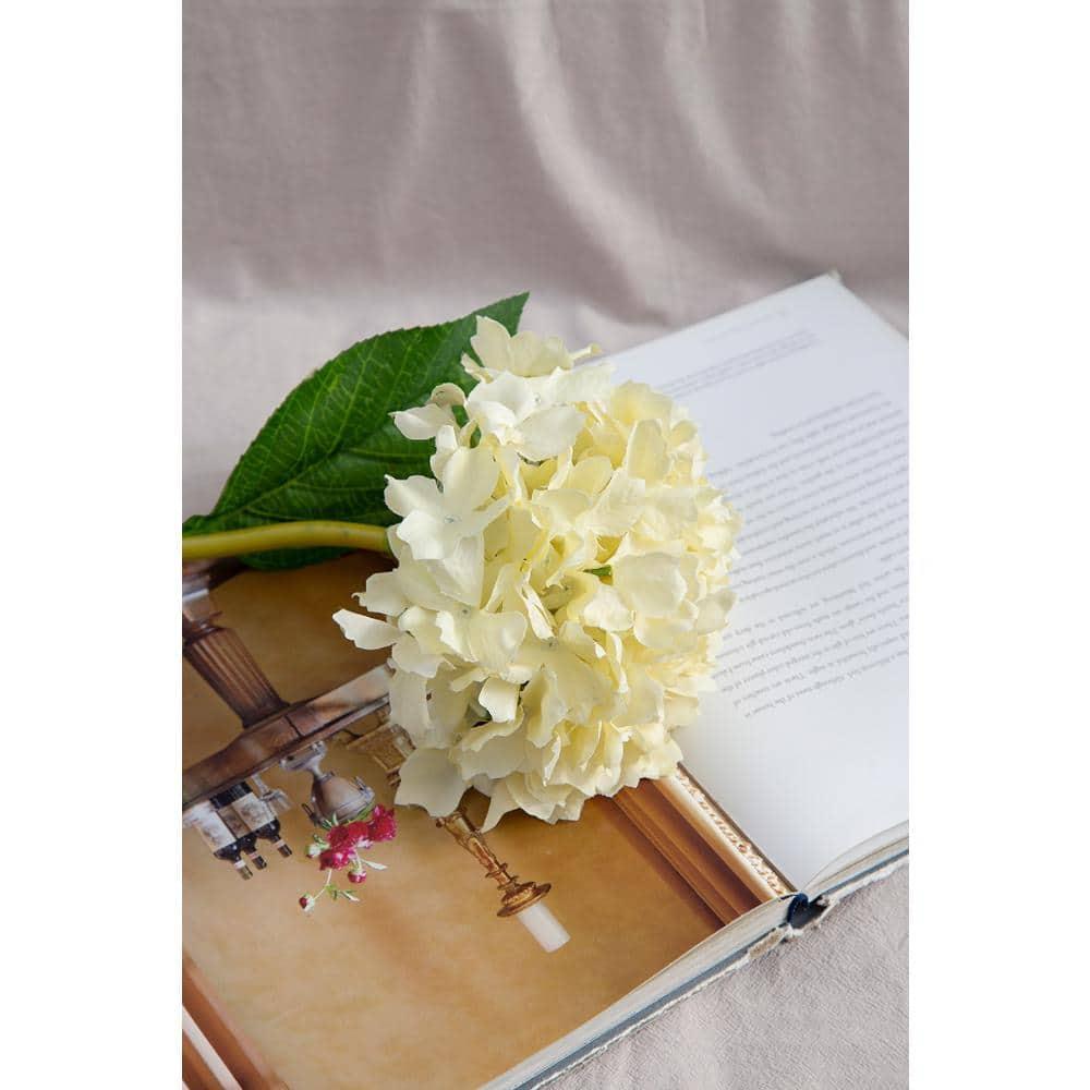 34" Almost-Real Hydrangea with Leaves - Set of 12 - Cream (Set of 12)