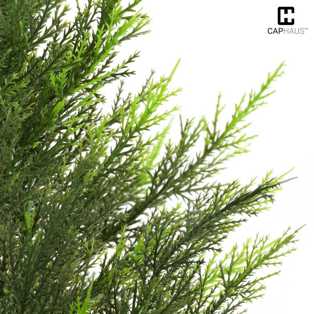 CAPHAUS CAPHAUS Artificial Cedar Tree Pair, UV Resistant Boxwood Topiary w/ Dried Moss, 3 / 4 / 5 Feet