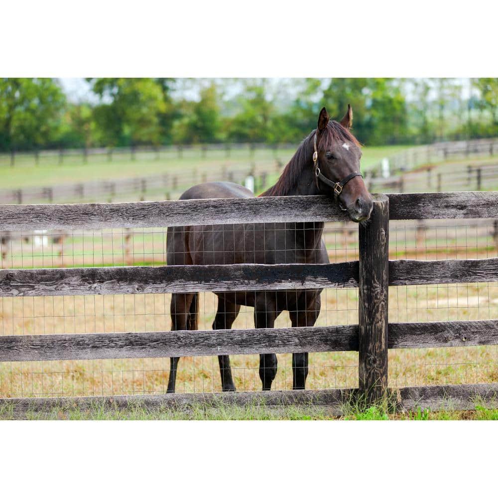 YARDGARD Silver Metal Fencing