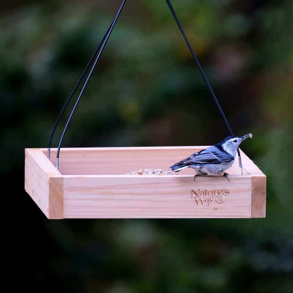 Nature's Way Cedar Tray Bird Feeder: Weather-Resistant Wood, No Assembly, 12x12 Hanging Design