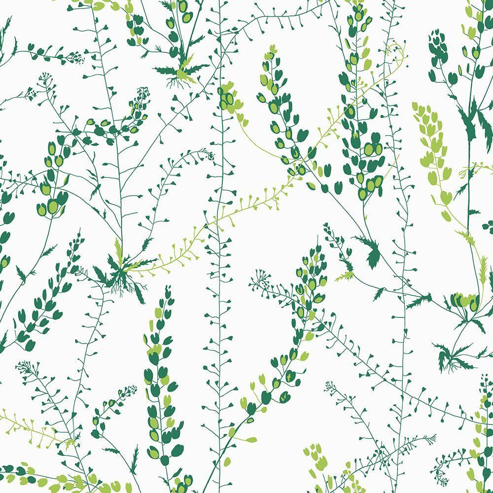 Bladranker Wallpaper