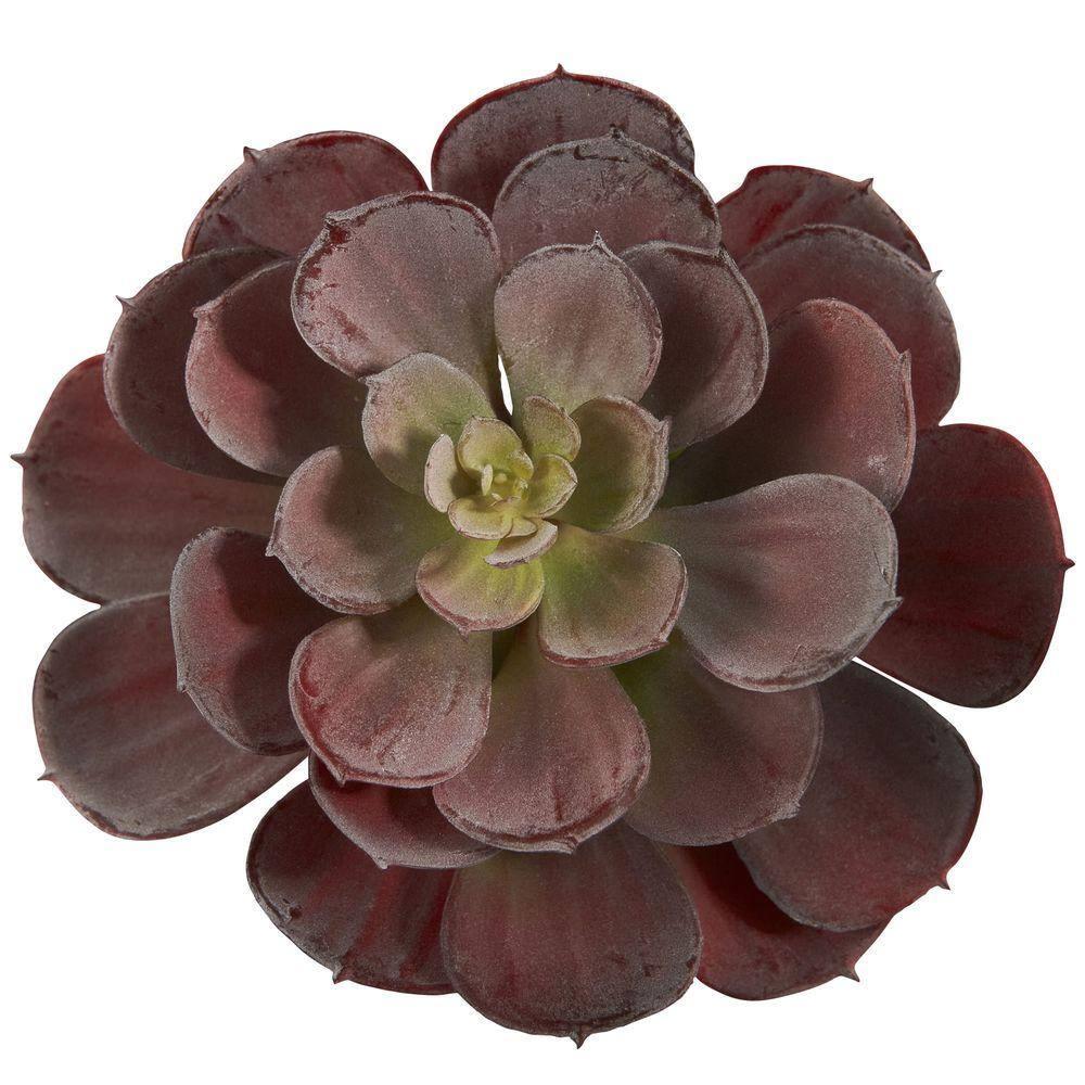 Nearly Natural 6 Echeveria Succulent - Set of 12 Burgundy