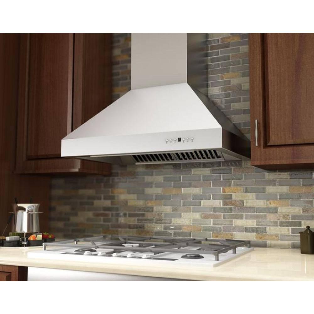 ZLINE ZLINE 48 in. Professional Ducted Wall Mount Range Hood in Stainless Steel (667-48)