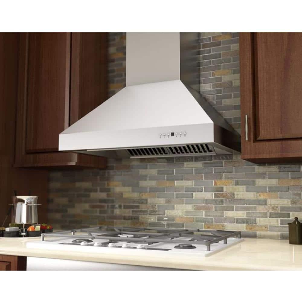 ZLINE ZLINE 48 in. Professional Ducted Wall Mount Range Hood in Stainless Steel (667-48)