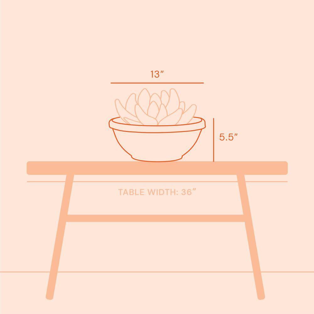 Bloem 14-in Terra Round Resin Planter Bowl - Black