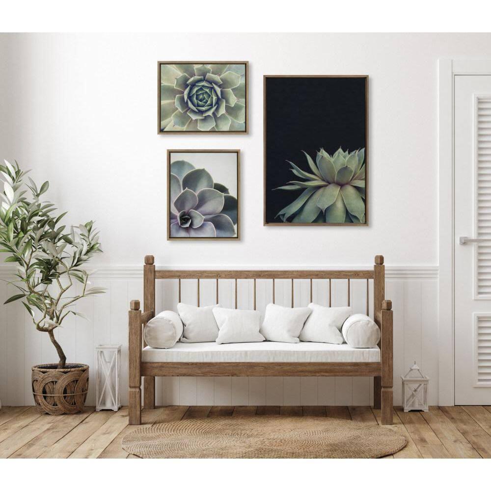 (Set of 3) 23" x 33" Sylvie Succulent Framed Canvas Set Gold - Kate & Laurel All Things Decor: Tranquil Botanical Art