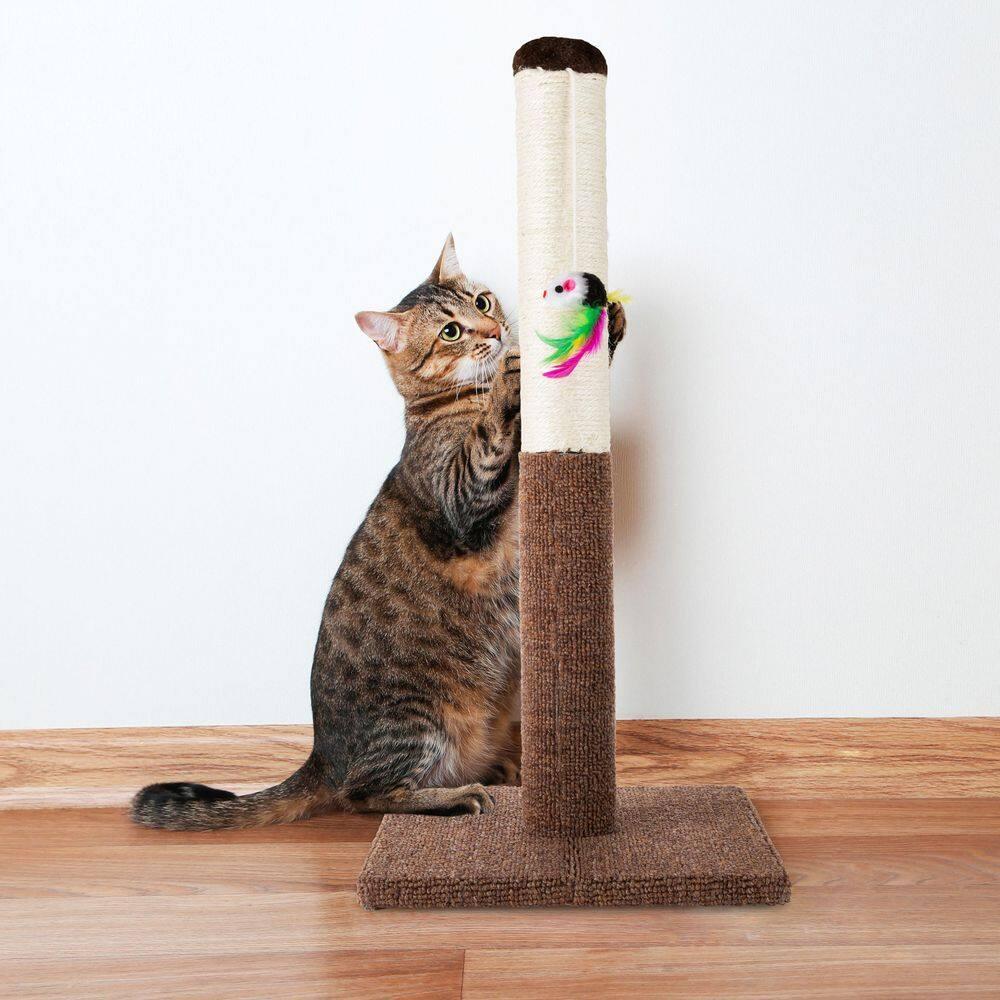 Cat Scratching Post - Tall Scratcher for Cats and Kittens with Sisal Rope and Carpet Hanging Mouse Toy for Interactive Play by PETMAKER (24.5 Inch)