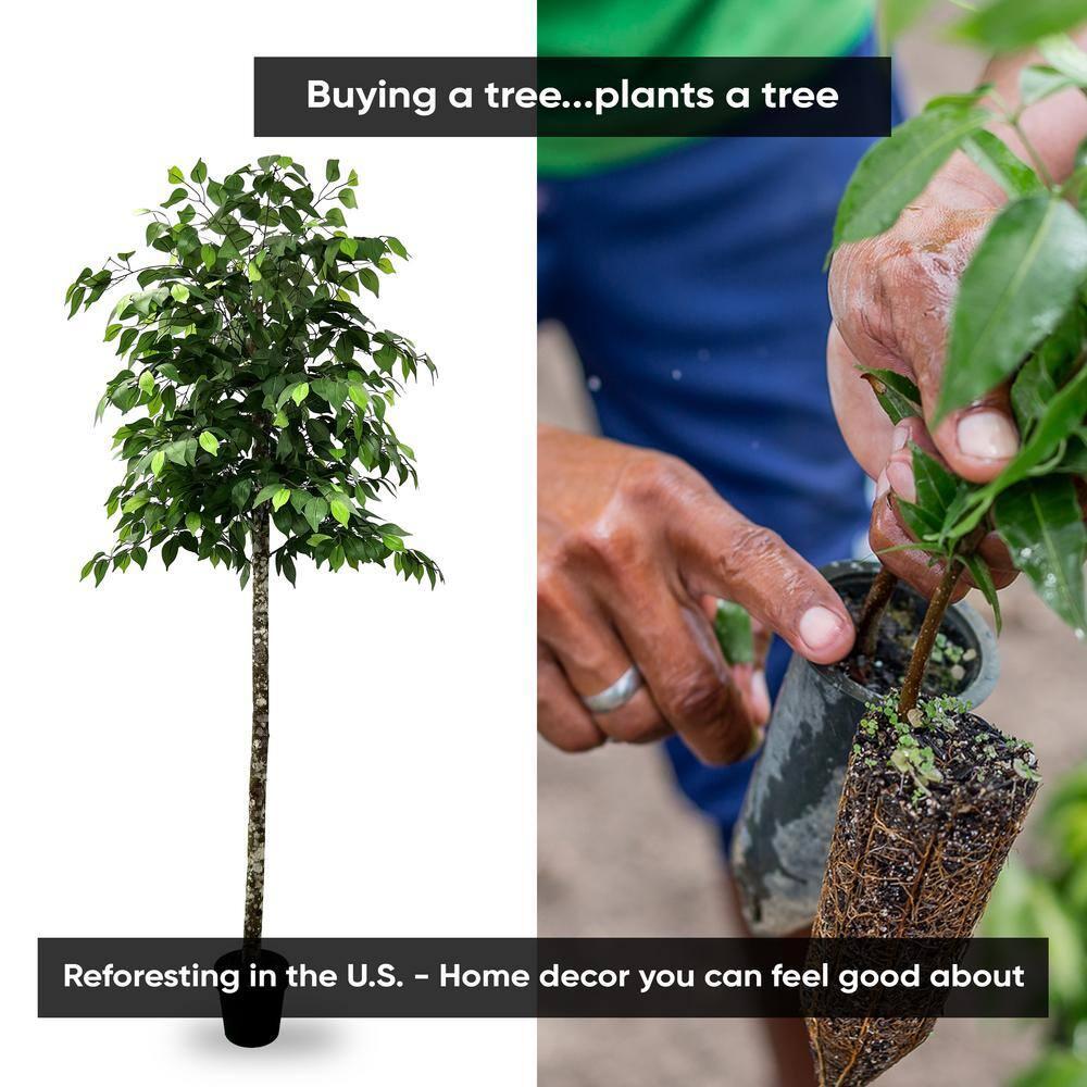 Cypress & Alabaster | Handmade Modern Style 6.5' Artificial Ficus Tree In Home Basics Plastic Pot Made With Real Wood And Moss Accents