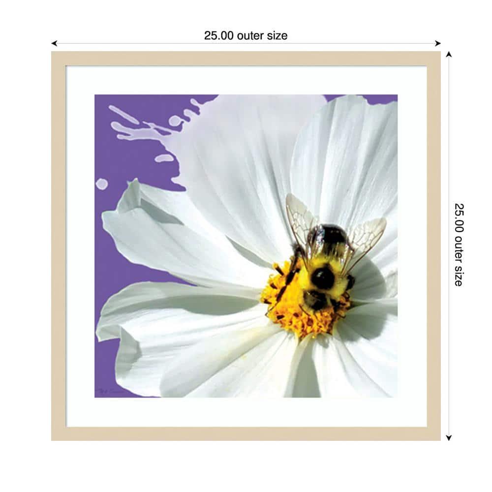 Amanti Art 25"x25" Flower Pop IV by Marie Elaine Cusson Wood Framed Wall Art Print