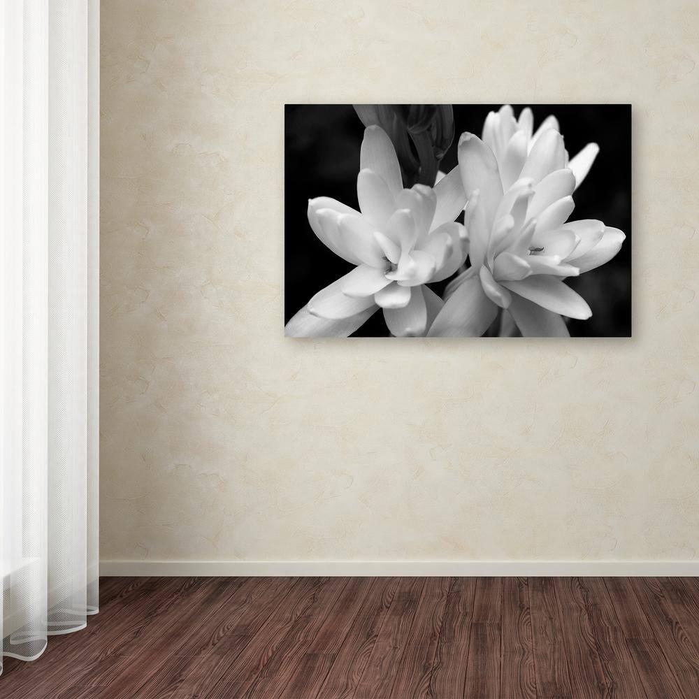 Trademark Fine Art -Kurt Shaffer 'Tuber Rose in Black and White' Canvas Art - 16''x24''