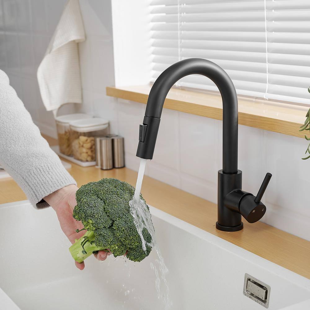 Topcraft Pull Down Kitchen Faucet