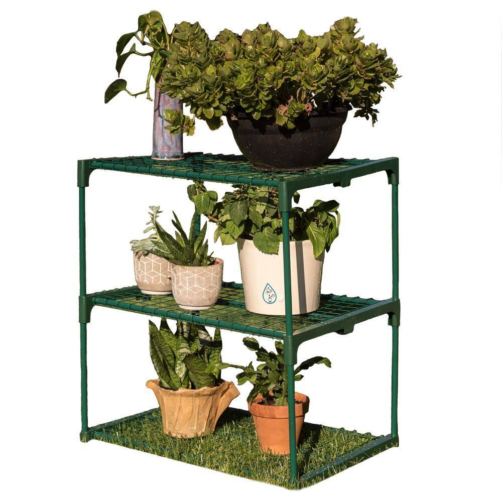 micykuxu 3-Tier Greenhouse Plant Growing Rack
