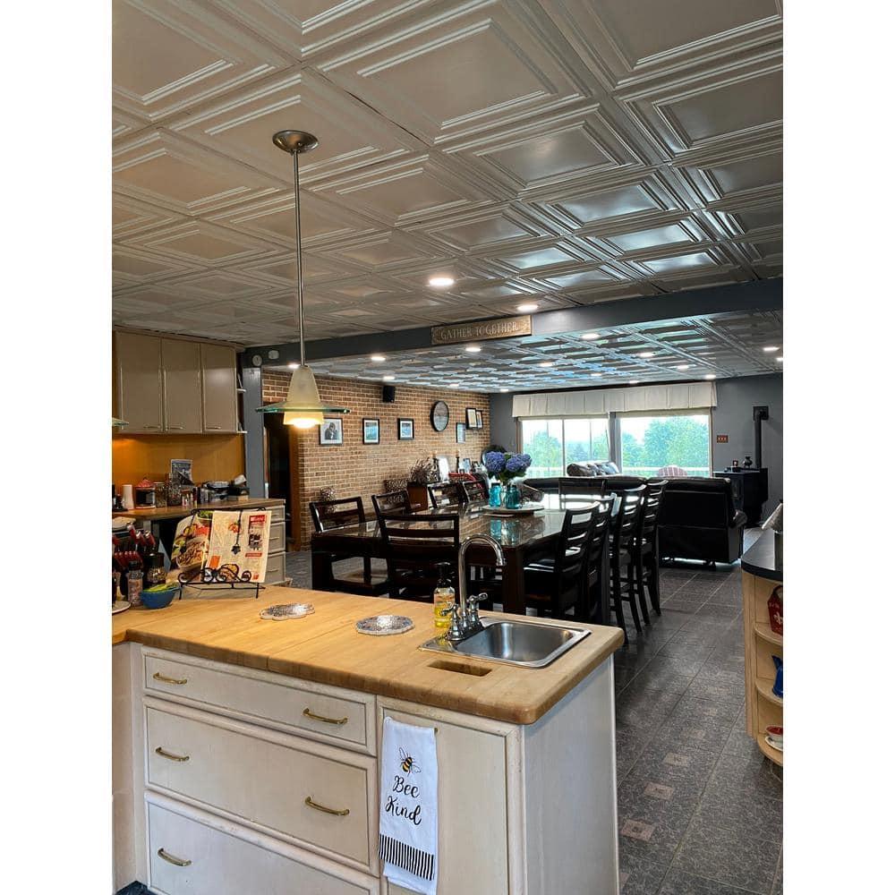 FromPlainToBeautifulInHours Economy Drop-In PVC Ceiling Tile (Set of 50)