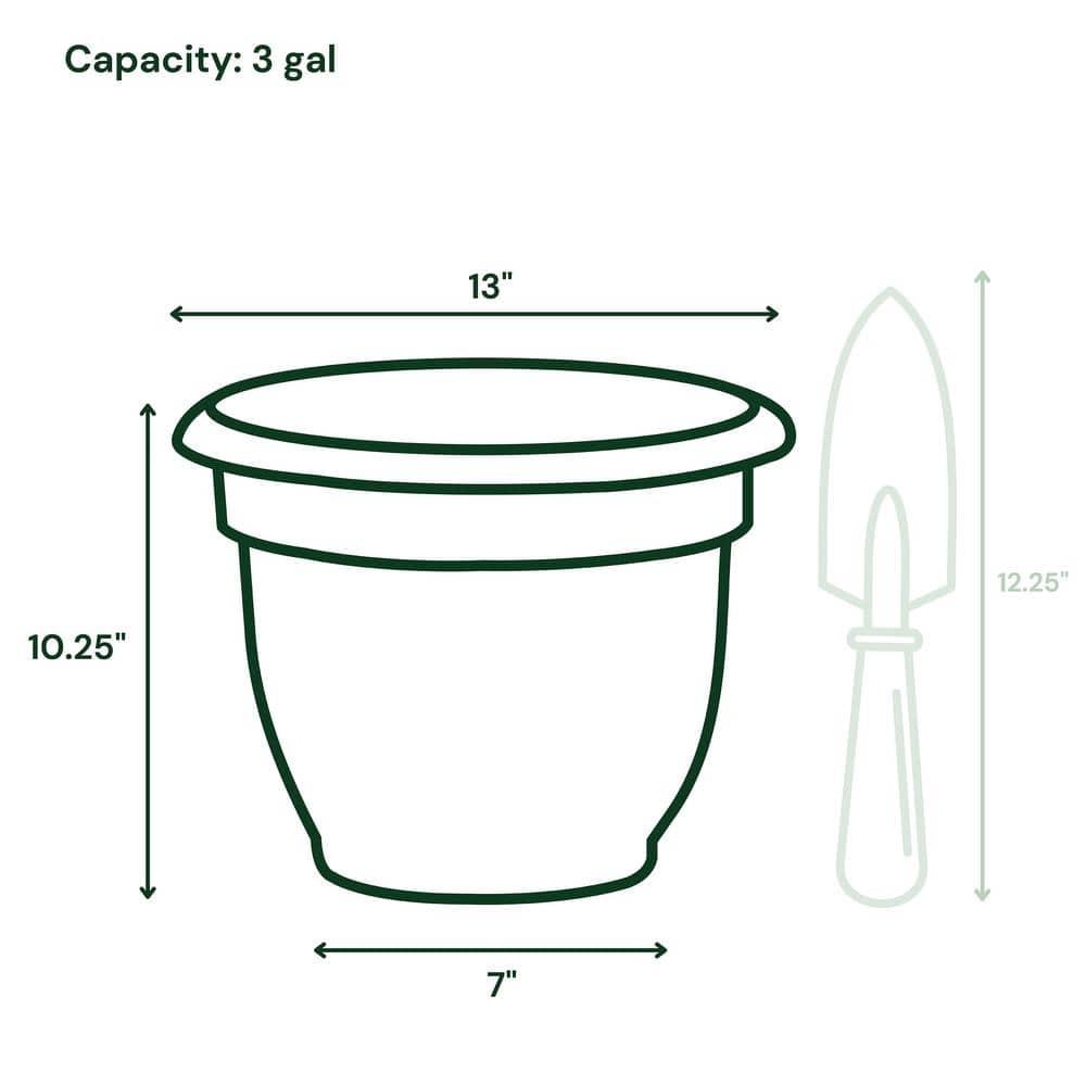 Bloem Ariana 12 in. D Polyresin Planter Charcoal