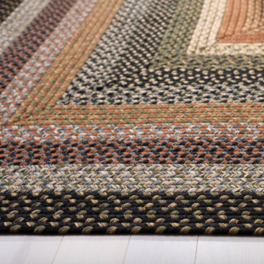 SAFAVIEH Braided Ellen Bordered Machine Washable Reversible Area Rug, Multi, 9' x 12'