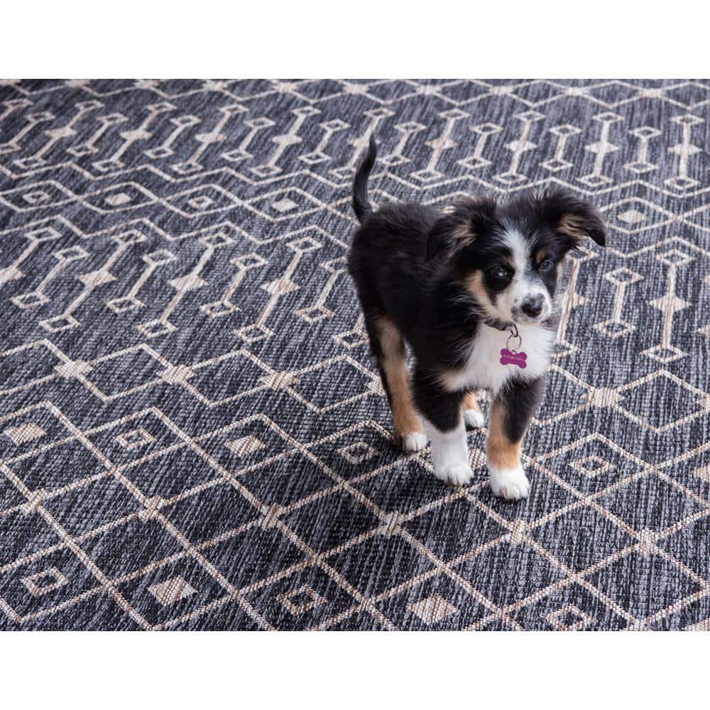 Charcoal Gray Trellis 6' x 9' Synthetic Outdoor Rug