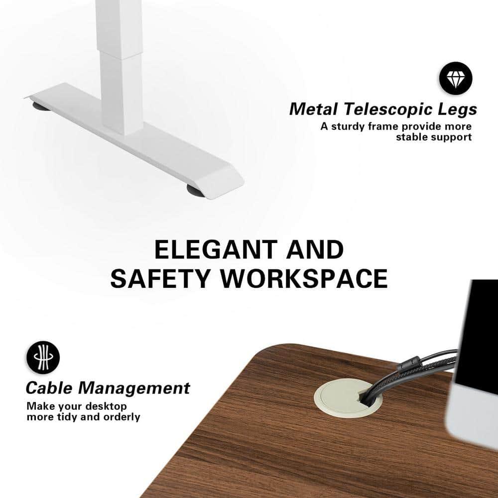 Lacoo Electric Height Adjustable Standing Desk with 55 inch Wooden Tabletop, Sit Stand Office Desk with Memory Preset Controller, Brown